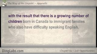 62 The Linguist by Steve Kaufmann  Appendix  Job Opportunities [upl. by Durrej]