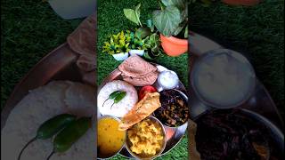 Desi Lunch Thali 🍽 Lal Saag Kareli Bhujiya Posta Aloo Roti🌮lunch food shorts [upl. by Rabelais]