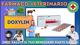 🐶 DOXYLIN Farmaco Veterinario a cosa serve   Foglietto Illustrativo 👔 Dr MAX [upl. by Veats992]