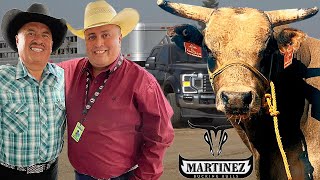 ESTE TORO EL AMIGAZO ES LA PRÓXIMA ESTRELLA DEL Jaripeo DIJO DON TINO MARTÍNEZ [upl. by Burr340]