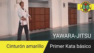 Primer Kata de YawaraJitsu Cinturón Amarillo [upl. by Haraz]