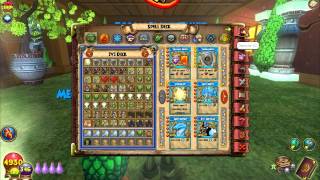 Wizard101 Life Level 100 Gear amp Deck Setup [upl. by Fisch805]