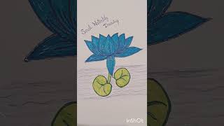 Saral Waterlily Drawing 🙏 [upl. by Magbie]