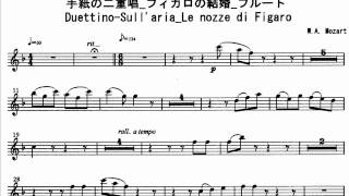 MWOFL Duettino Sullaria Le nozze di Figaro Mozart 手紙の二重唱伴奏 [upl. by Imnubulo]