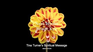 TINA TURNERs DAILY MANTRA for Spiritual Enlightenment [upl. by Madancy]