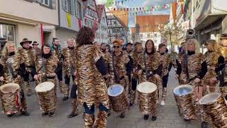 FZ Daugendorf am Fasnetsdienstag 2024 in Riedlingen 8 Video [upl. by Dott]