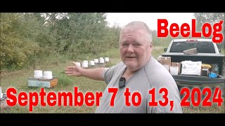 ⏱ BeeLog September 7 to 13That Bee Man [upl. by Yrennalf]