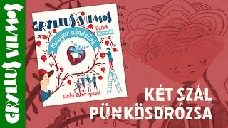 Gryllus Vilmos – Két szál pünkösdrózsa Magyar Népdalok 2017 [upl. by Ttennaej984]