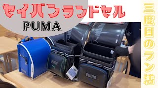 【ゆいちゃんち】セイバンランドセル展示会【PUMAランドセル】2023 [upl. by Uis]