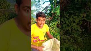 Bap re😂 comedy funny big masti [upl. by Nylsaj543]