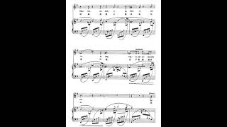 Der Nussbaum  Robert Schumann  piano accompaniment KARAOKE [upl. by Yzdnil445]