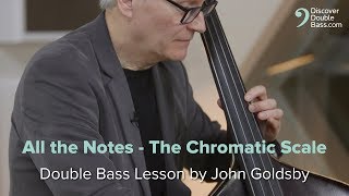 All The Notes  The Chromatic Scale John Goldsby Bass Lesson [upl. by Mosnar]