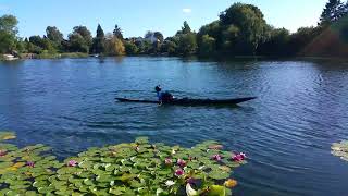 Greenland Sea Kayak Rolling  Shotgun amp Butterfly Roll [upl. by Kelcey991]