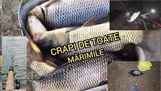 Pescuit 2024 noiembrie la carp  method feeder se simte iarna crapul campeaza pe gropane [upl. by Banerjee]