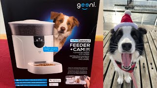 Geeni Pet Connect Feeder with Camera Unboxing and Setup [upl. by Anihsit]