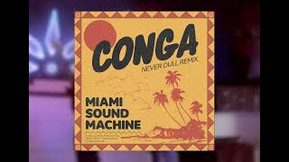 Miami Sound Machine  Conga Never Dull Remix [upl. by Arreip]