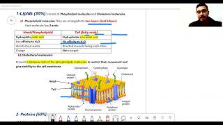 Cytology Histology revision Dr Hassan Abdalshafy علاج طبيعي [upl. by Rayle]