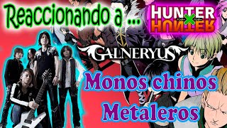 Monos chinos metaleros reaccionando a Galneryus Hunting for your dream hunter x hunter [upl. by Etteiluj]