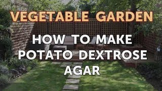 How to Make Potato Dextrose Agar [upl. by Leemaj552]