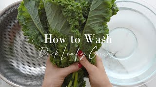 How To Wash Dark Leafy Greens So You Dont Eat Bugs [upl. by Ahsilef]