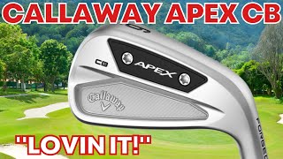 Why Golfers Everywhere Are Raving About Callaway APEX CB Irons  Quick Review [upl. by Cole]