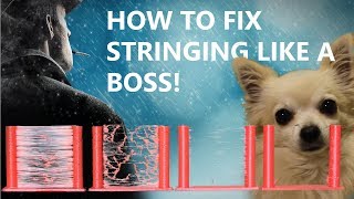 How to Fix Stringing on a 3D Printer [upl. by Esenej]