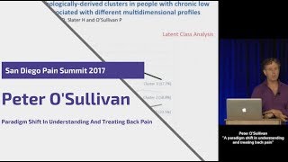 Peter OSullivan Paradigm Shift in Understanding amp Treating Back Pain  San Diego Pain Summit 2017 [upl. by Anaitak77]