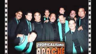 TROPICALISIMO APACHE EN VIVOwmv [upl. by Mihar541]