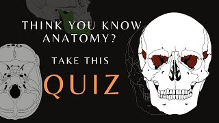 Anatomy and Physiology Quiz Part 1  Cranial Bones quiz humananatomy shorts [upl. by Rephotsirhc384]