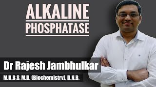 Alkaline phosphatase [upl. by Raddie]