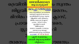 kerala jobs 2024 todays job malayalam jobs November 13 [upl. by Pavlish914]