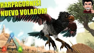 HARPAGORNIS NUEVO ANIMAL VOLADOR MOD ARK SUVIVAL EVOLVED ADDITIONAL CREATURES GAMEPLAY ESPAÑOL [upl. by Banky]