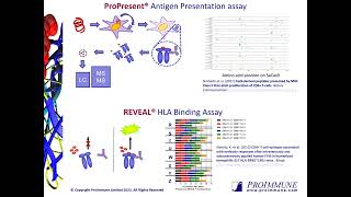 An Integrated Approach and Strategies to Mitigate Immunogenicity Risk [upl. by Yerffoj]