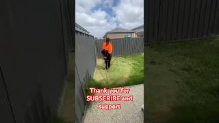 Satisfying wipper snipper cleanupasmr lawncare satisfying transformation shorts youtubeshorts [upl. by Cayser]