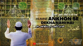 Humne Ankhon Se Dekha Nahi Hai Magar  Hammad Ali  Mehmood J  New Kalaam [upl. by Hanafee]