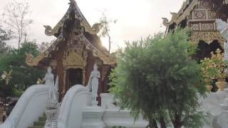 Traveling brought us to Vipassana Meditation retreat in Wat Ram Poeng Chiang Mai Thailand [upl. by Connell]