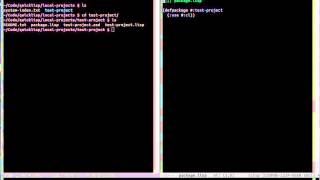 Common Lisp  How to Start a New Project [upl. by Enilhtak117]