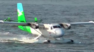 Twin Otter Seaplane Landing [upl. by Clava]