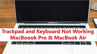 How to fix MacBook Pro trackpad not working  MacBook ProAir Keyboard and trackpad not working 2024 [upl. by Ennaeel]