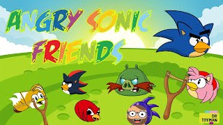 Sonic The Hedgehog Angry Friends Angry Birds Funny Game [upl. by Harbison669]