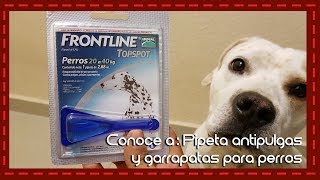 Conoce a Pipeta antipulgas garrapatas y piojos para perros Frontline [upl. by Dazraf299]