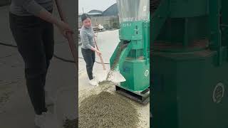 pellet machinepellet machine production linewood chip pellet machine pelletmachinefactory [upl. by Ellehcal]