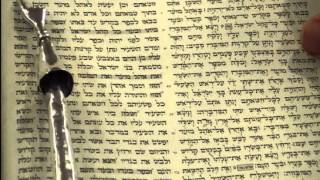 Yom Kippur Torah Reading Rabbi Weisblum יום כיפור קריאת תורה הרב ויסבלום [upl. by Peonir]