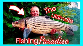 Thailand The Ultimate Fishing Paradise [upl. by Fernand]