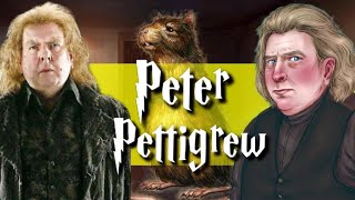 The Entire Life Of Peter Pettigrew Harry Potter Explained [upl. by Marje640]