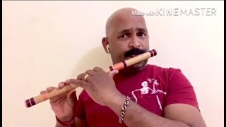 Mandara cheppundo flute [upl. by Clem]