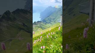 📍Brienzer Rothorn Switzerland 🇨🇭 follow for more daily shorts 🇨🇭 [upl. by Macnair227]