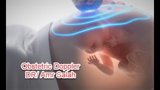 Obstetric Doppler How to do دوبلر الحمل فيديو للدكتور عمرو صلاح [upl. by Royd]