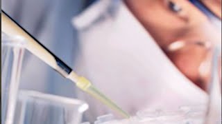 Scientists have effectively cured diabetes with stem cells diabetes cure t1d [upl. by Balough421]