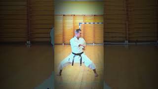 karate shotokan kata TEKKI SHODAN [upl. by Delfeena391]